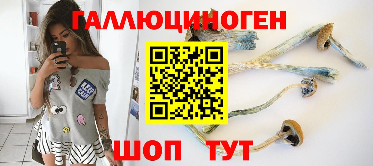 Псилоцибиновые грибы мицелий Краснокаменск